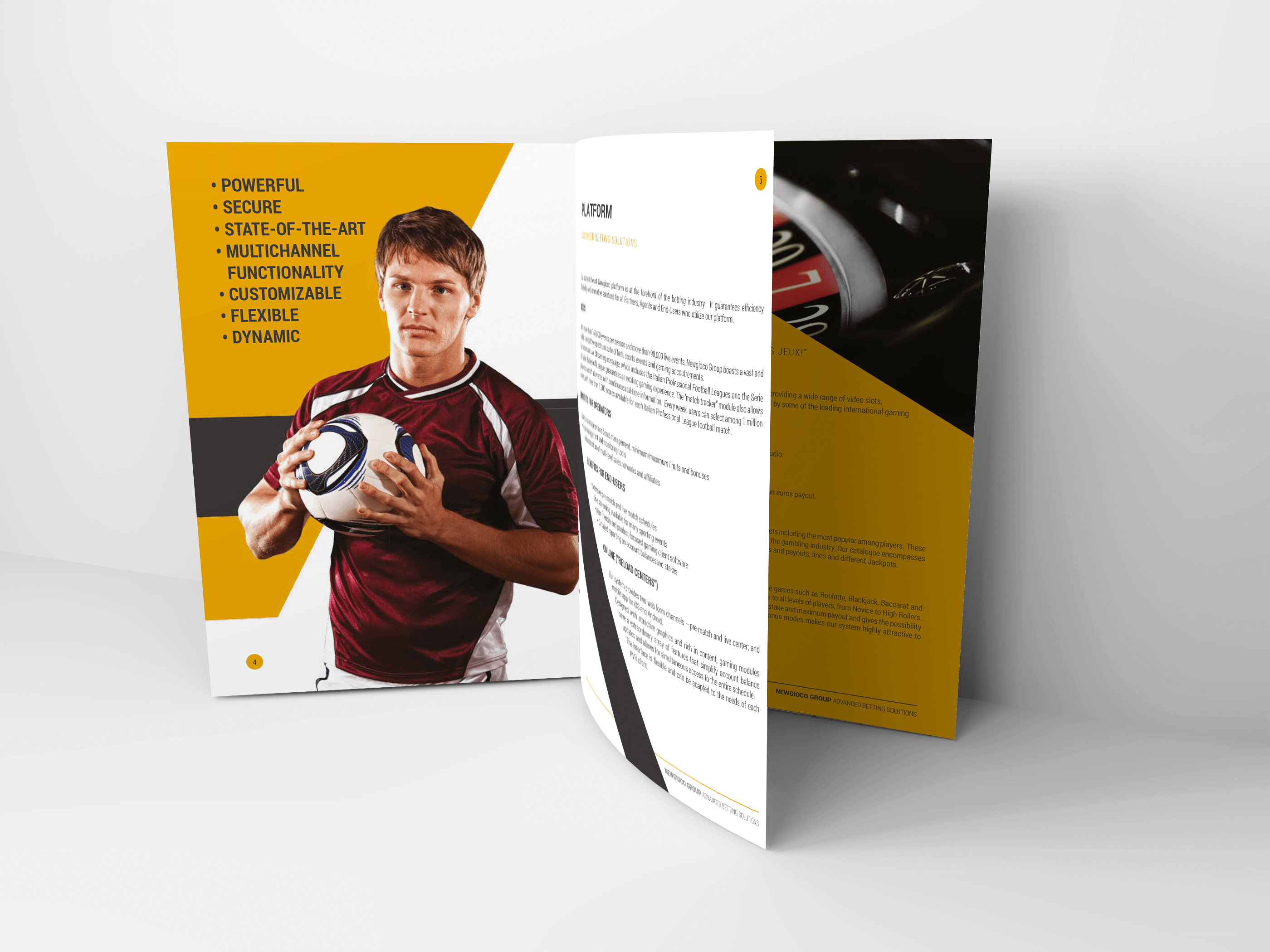 Brochure Newgioco